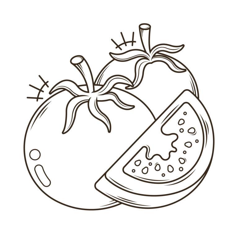 Tomates – desenho para colorir