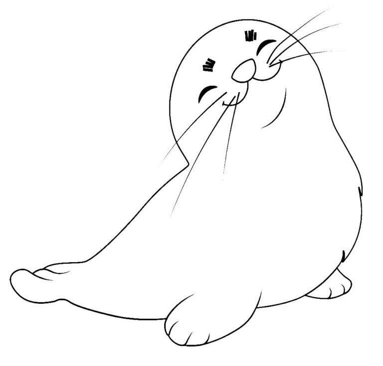 Foca sorridente – desenho para colorir