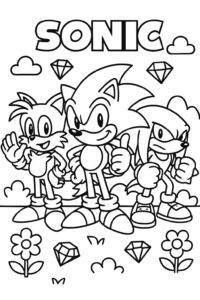 Ježko Sonic, Miles, Knuckles – pobarvanka