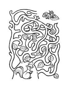 Squirrel maze – colouring page