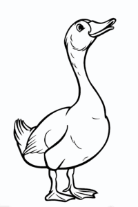 Ente Gans – Malvorlage