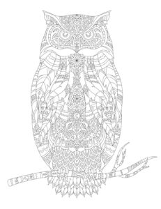 Mandala burung hantu – halaman mewarnai