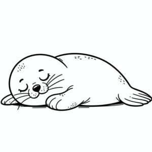 Sleeping seal – colouring page