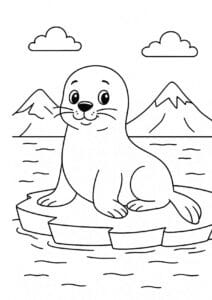 Seal on an ice floe – colouring page