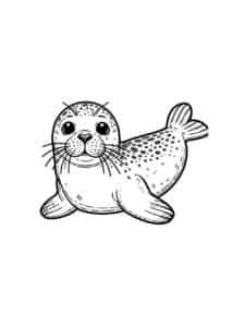 Seal – colouring page