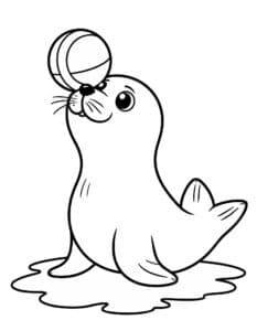 Robbe spielt mit einem Ball – Malvorlage