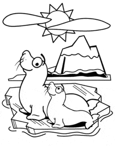 Seals in the sun – colouring page