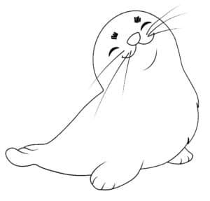 Smiling seal – colouring page